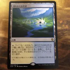 MTG KTK 溢れかえる岸辺 Flooded Strand 美麗イラストのサムネイル