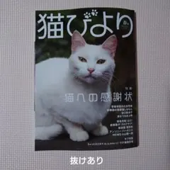 Item thumbnail for item c8c7e721-154b-4447-a4c5-b1a37573a8da