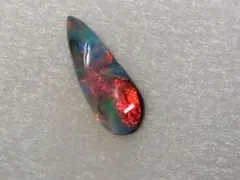 オパライズドシェル オパール 貝 巻貝 鉱物 標本 原石 - メルカリ