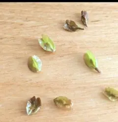 la様 リクエスト 2点 まとめ商品