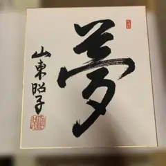 あ*う様 【直筆サイン】亀田興毅 サイン色紙 ボクシング 元世界王者