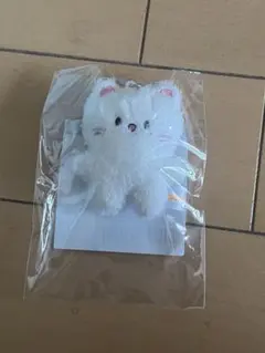 straykids ヒョンジン マイクロ キーリング skz 5 clock