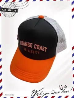 Item thumbnail for item 9defee87-59f7-4892-bcf2-ee1de3344e53