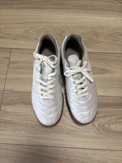 Item thumbnail for item e334cd9f-9b7b-4da7-8e3e-3c23507f5e96