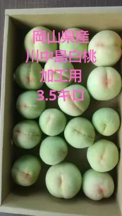 岡山県産川中島白桃の加工用のサムネイル
