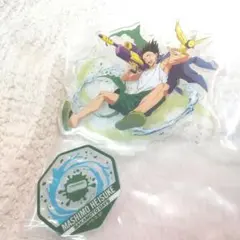 Item thumbnail for item 8a7a5911-a7ab-4386-95d0-ae19db482d9f