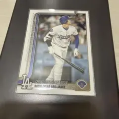 Item thumbnail for item 6fae2005-fcb4-4b45-ba38-b616df89aff6