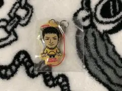 数原龍友 日本製クリーナー