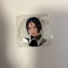 2026年最新】龍宮城 缶バッジの人気アイテム - メルカリ