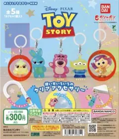 TOY STORY めじるしアクセサリー