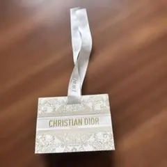CHRISTIAN DIOR ギフト袋 小型