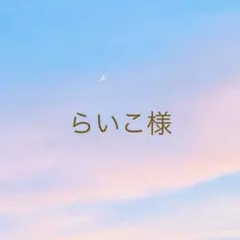 らいこさん様 リクエスト 2点 まとめ商品