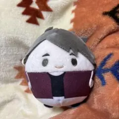 ハイキュー　ふわコロりん　スペシャル　宮治