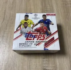 バラ売り対応可】Vリーグトレカ 2018/19 レギュラーカード＆特典カード