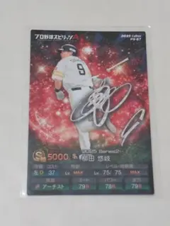 カルビー プロ野球チップス 柳田悠岐 9