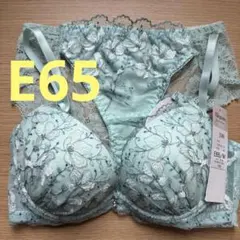 E65 花柄刺繍　ブラジャー レースショーツ　ミント　　Eleganteのサムネイル