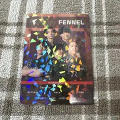 FENNEL VALORANT部門 トレカ ホロ 物販特典 VCJ - メルカリ