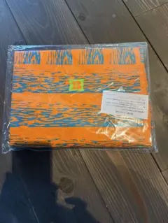 Item thumbnail for item df125eb0-3ed4-487d-9b41-ea3ead1bece5