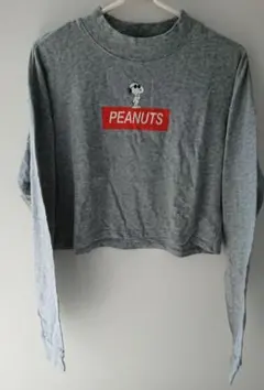 Item thumbnail for item 2664c159-0166-4356-8b9c-963c6365fea7