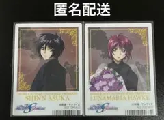 ガンダムSEEDFREEFOM アニメイト特典 シン ルナマリア 匿名配送