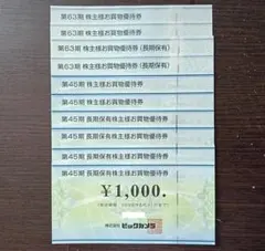 【匿名配送】コジマ・ビックカメラ 株主優待券 　合計10,000円分