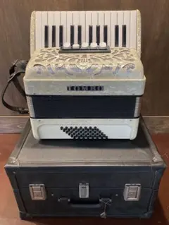 2025年最新】アコーディオンの人気アイテム - メルカリ