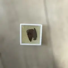 石器 矢尻 標本 2点セット