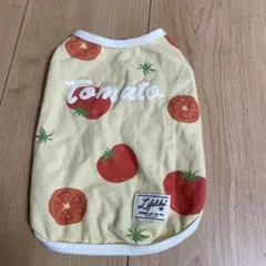 Item thumbnail for item 2f663ac9-8a6c-4f55-be1d-74ff42436c01