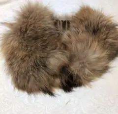 Item thumbnail for item 5c7348c2-a469-4443-a327-68901c6ae854