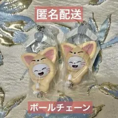 skzoo つまんでつなげてますこっと　vol.2 ジニレット 2個