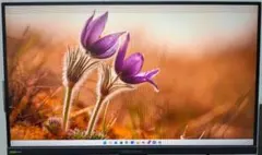 GigaCrysta EX-GD271JD 27インチ ジャンクのサムネイル