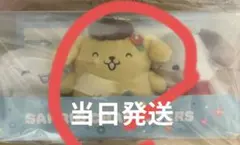 サンリオキャラクターズ当りくじ　ポムポムプリン　ラストワン賞