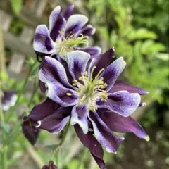 ひまわり様 リクエスト 3点 まとめ商品