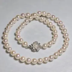 TASAKI アコヤ真珠 ネックレス 7.5 パール 本真珠 リボン テリ強