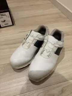 FootJoy Pro SL ゴルフシューズ BOA スパイクレス