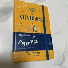 Item thumbnail for item 21903efa-cf54-4141-bfa6-2348b0258305