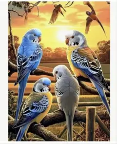 ダイアモンドアート　セキセイインコ　30×40