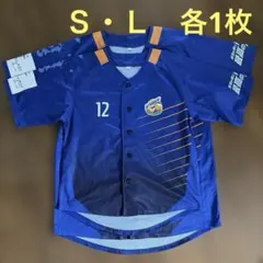 2007 福岡ソフトバンクホークス 鷹の祭典 ハイグレードレプリカ