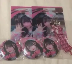 TRAVELiFE! 那蘭のどか グッズセット、デフォアクキー 那蘭のどか 鎮目のどか アクスタ6セット iLIFE! ZOC METAMUSE