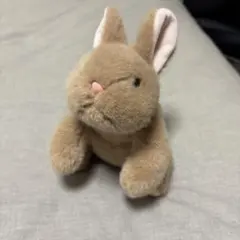 Item thumbnail for item 4522cdd6-be09-4dc3-b549-d2a8d1a992aa