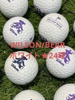 "A-品" WILSON BEAR☆ホワイト　24球