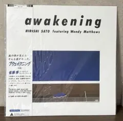 新品未使用!!! 佐藤博 / アウェイクニング アナログLPレコード 新品 佐藤博 / アウェイクニング 40周年記念盤アナログレコード LP