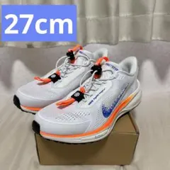 【極美品・希少】ナイキ エアズームペガサス41 イージーオン