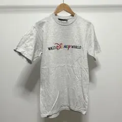 アメリカ製/USA製/ディズニー/コットン/刺繍Tシャツ/フロリダ/限定のサムネイル