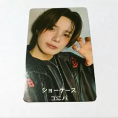 &TEAM K ケイ Back to Lifeショーケース ユニバ トレカ