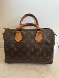 エ*ミ様 ♪ LOUIS VUITTON スピーディ25 モノグラム　ハンドバッ