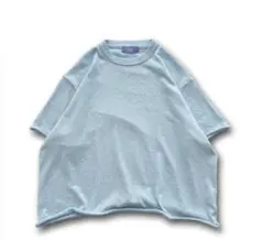 リ*サ様 wee9s 【SAMPLE】towel big tee / blueのサムネイル