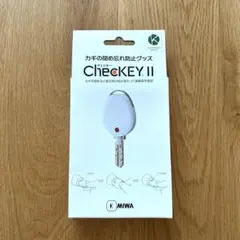 Item thumbnail for item 41a43ea2-7288-43e8-bac8-18f818fe132b