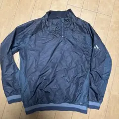 Item thumbnail for item c8000236-725e-42a6-bf4c-9ea713821b94