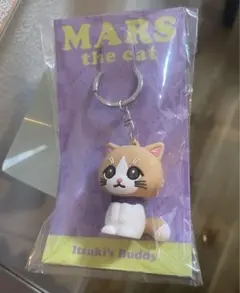 THE RAMPAGE 藤原樹 メンプロ お出かけ MARS キーホルダー 藤原樹 ファースト写真集『MYSTERIOUS』発売記念グッズ「MARS